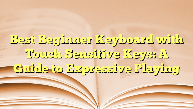 Best Beginner Keyboard With Touch Sensitive Keys A Guide To Expressive