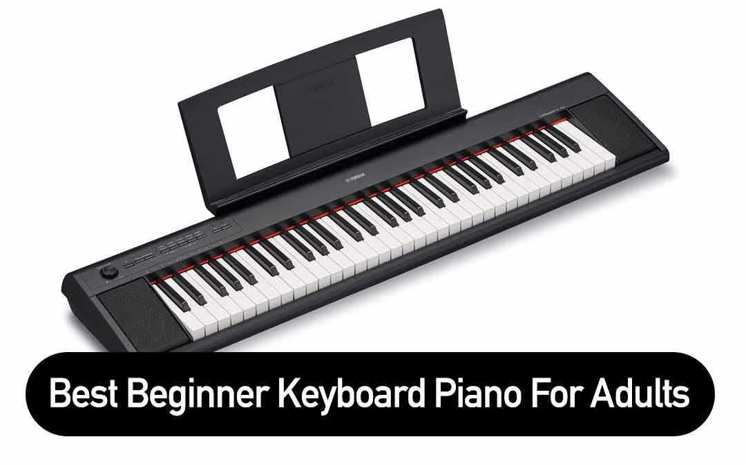 best-beginner-keyboard-piano-for-adults-complete-guide