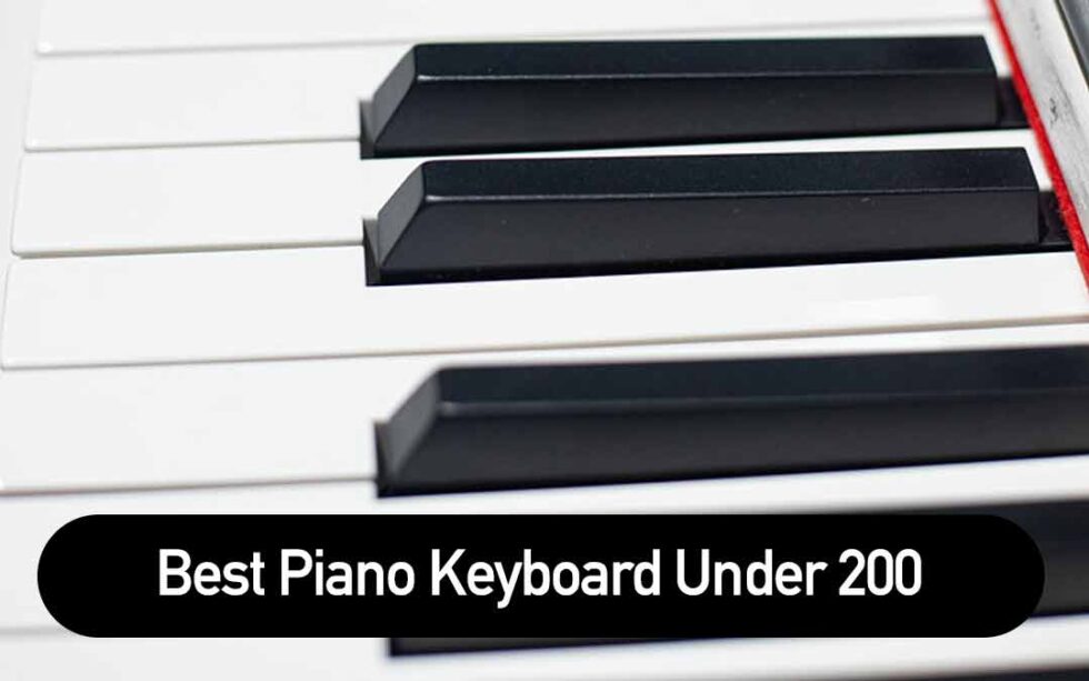 Best Piano Keyboard Under 200 - Beginner Keyboards