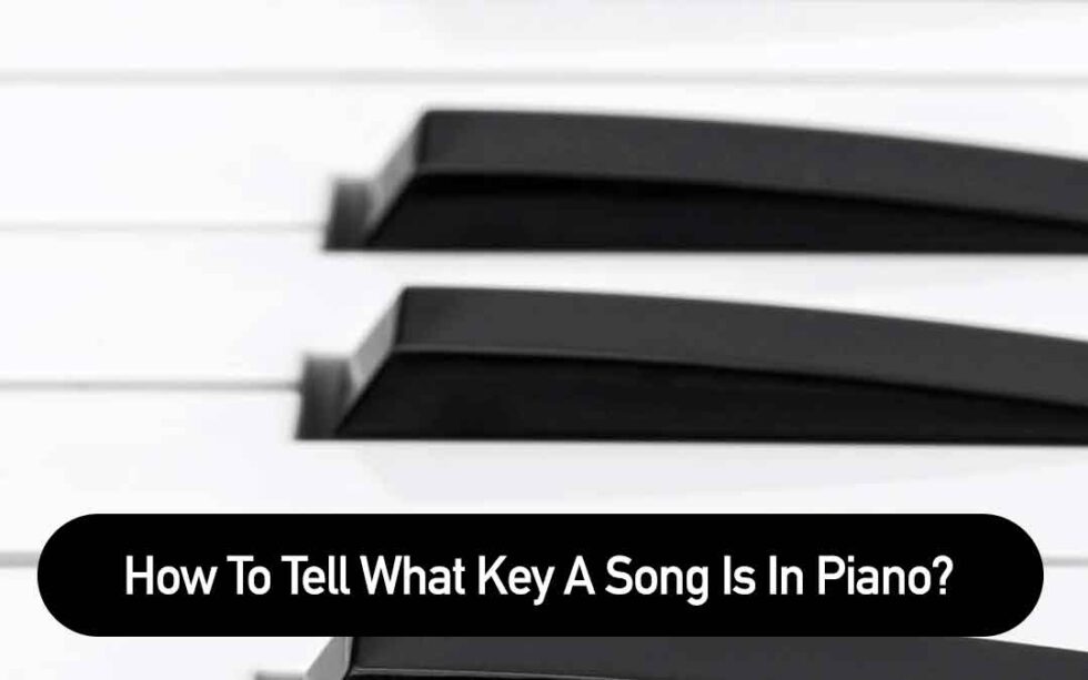 How To Tell What Key A Song Is In Piano? Beginner Keyboards