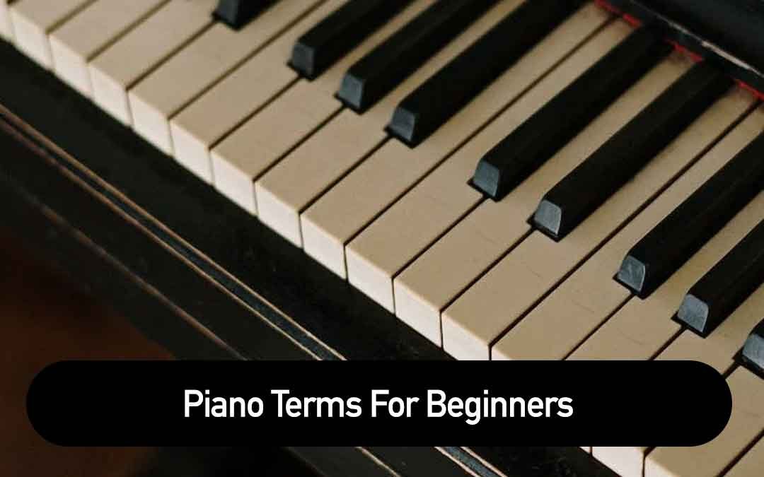 Piano Terms For Beginners Beginner Keyboards