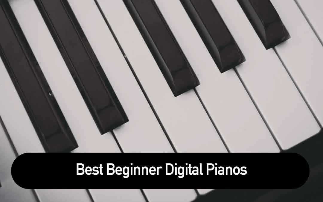 Best Beginner Digital Pianos